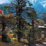 Far Cry 4 eGuide.pdf