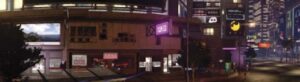 Sleeping Dogs eGuide.pdf